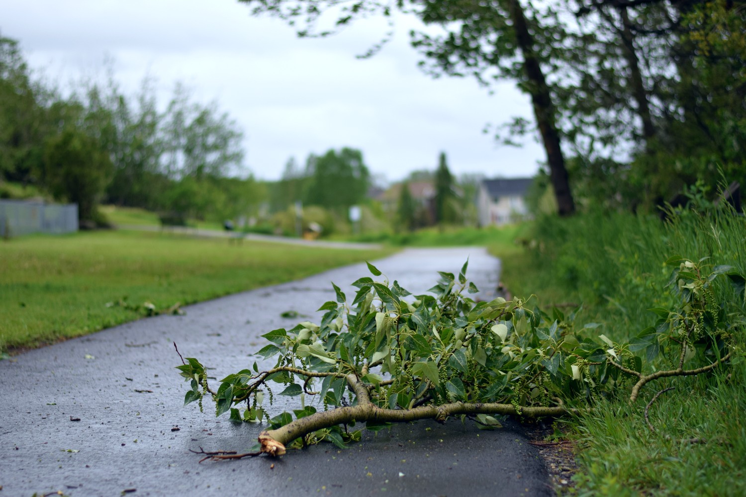 Pathway Branch June 14 2022